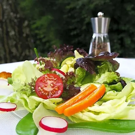& Restaurant Dornweiler Hof Hotel Illertissen
